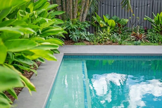 Pool by Queensland Family Pools & Spas